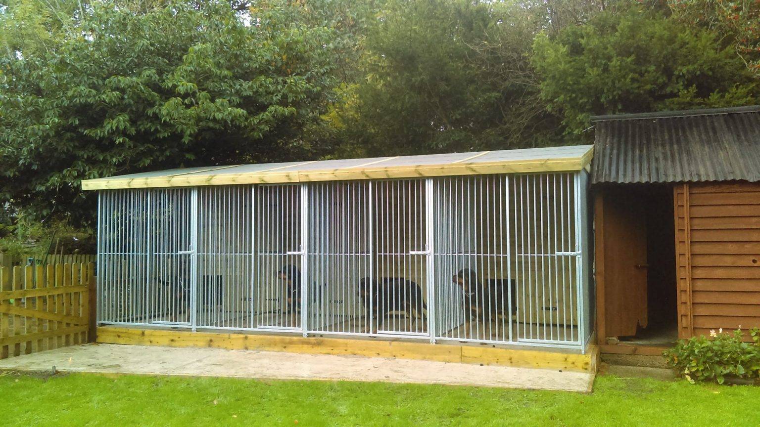 20 X 10 ft Four Bay Dog Kennel benchmarkkennels