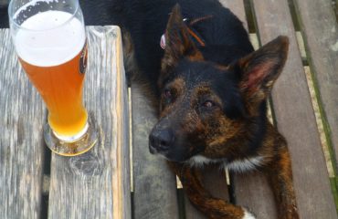 dog friendly pub Yorkshire