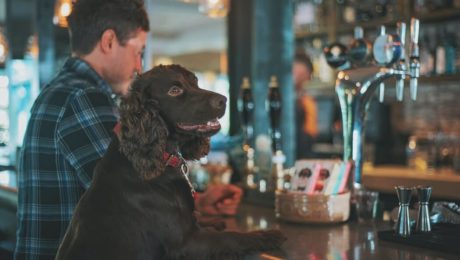 dog friendly pubs