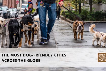 The Most Dog-Friendly Cities Across The Globe