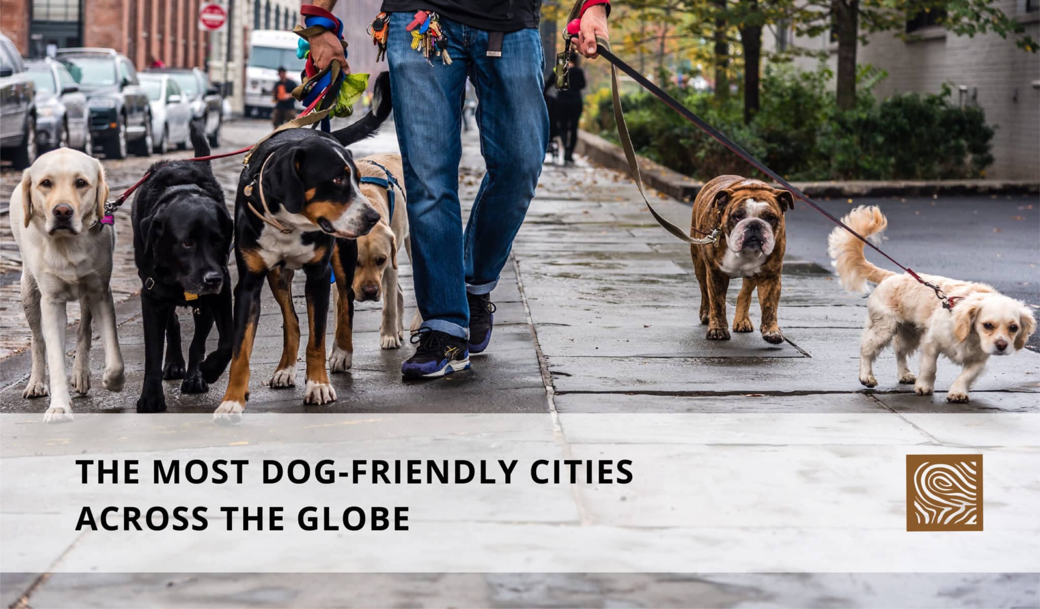 The Most Dog-Friendly Cities Across The Globe