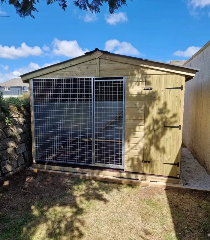 10 x 8 ft cattery